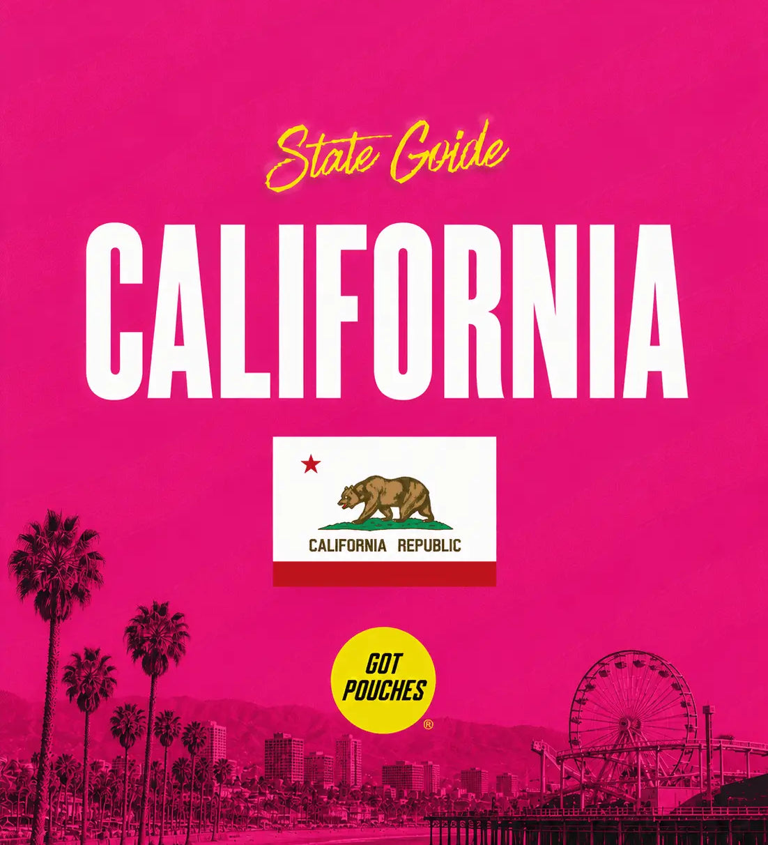 California nicotine pouches state guide