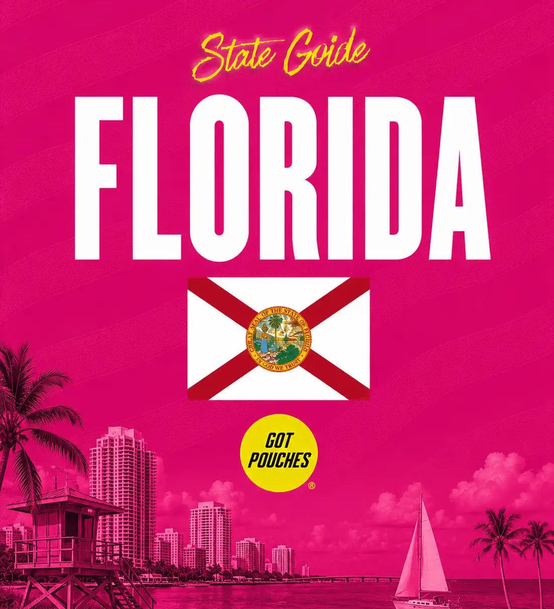 Florida nicotine pouches state guide