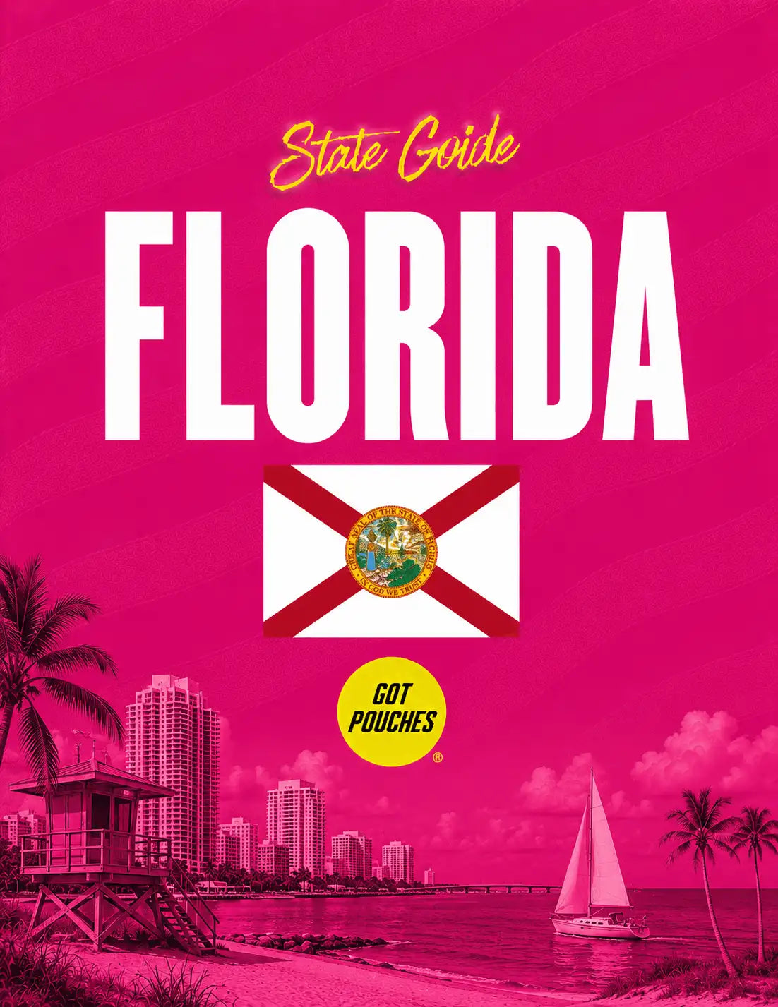 Florida nicotine pouches state guide