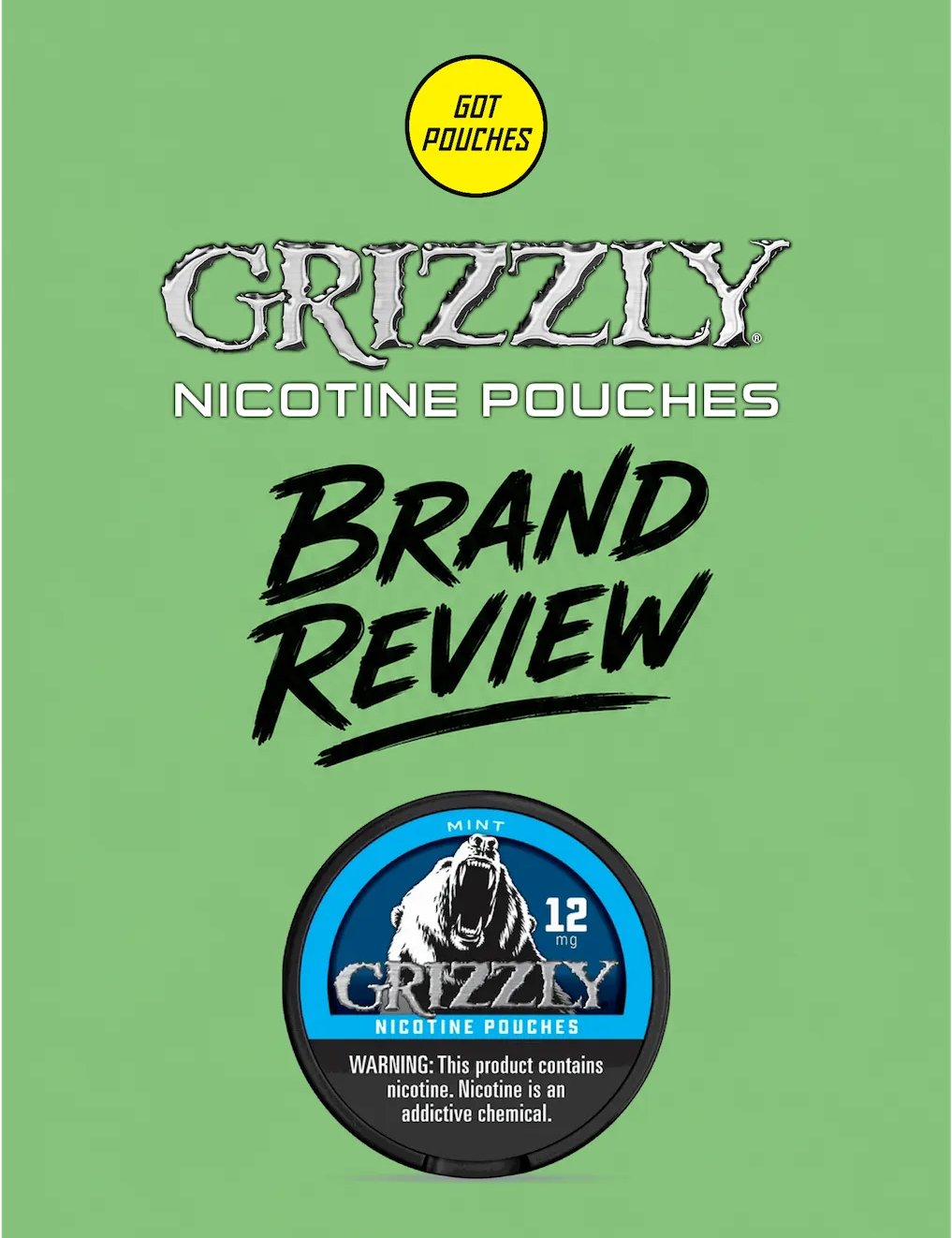 GRIZZLY Pouches Review
