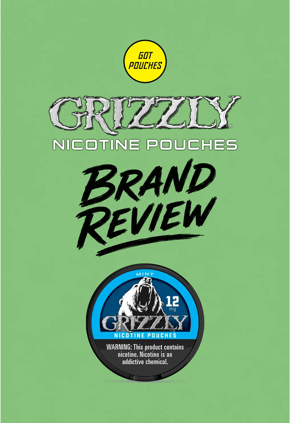 GRIZZLY Pouches Review