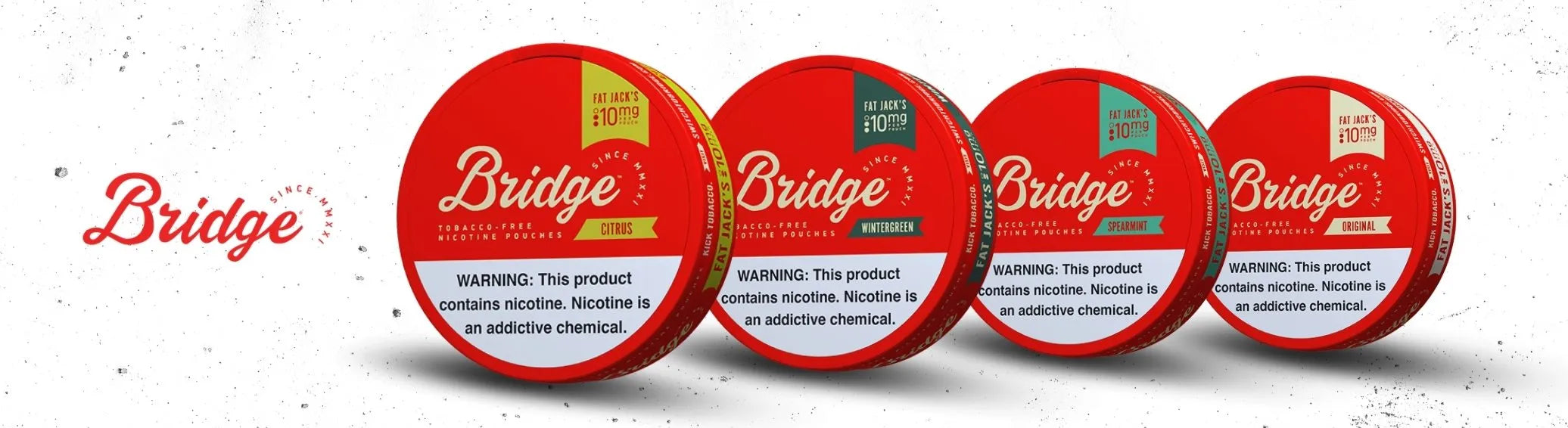 Bridge nicotine pouches range including Citrus, Wintergreen, Spearmint and Original on clean white background