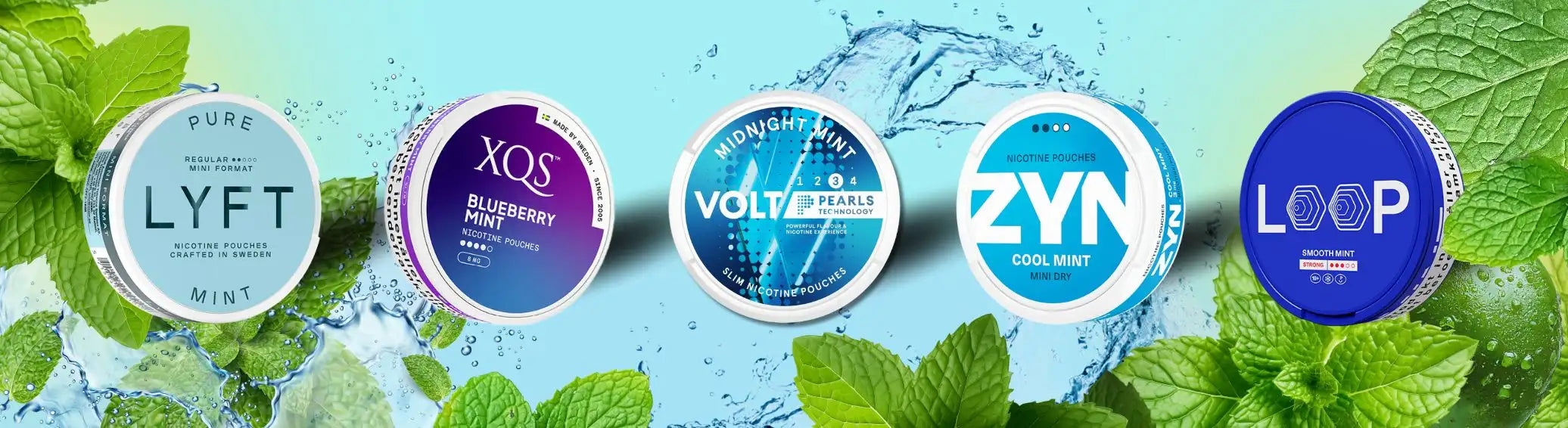 Mint nicotine pouches