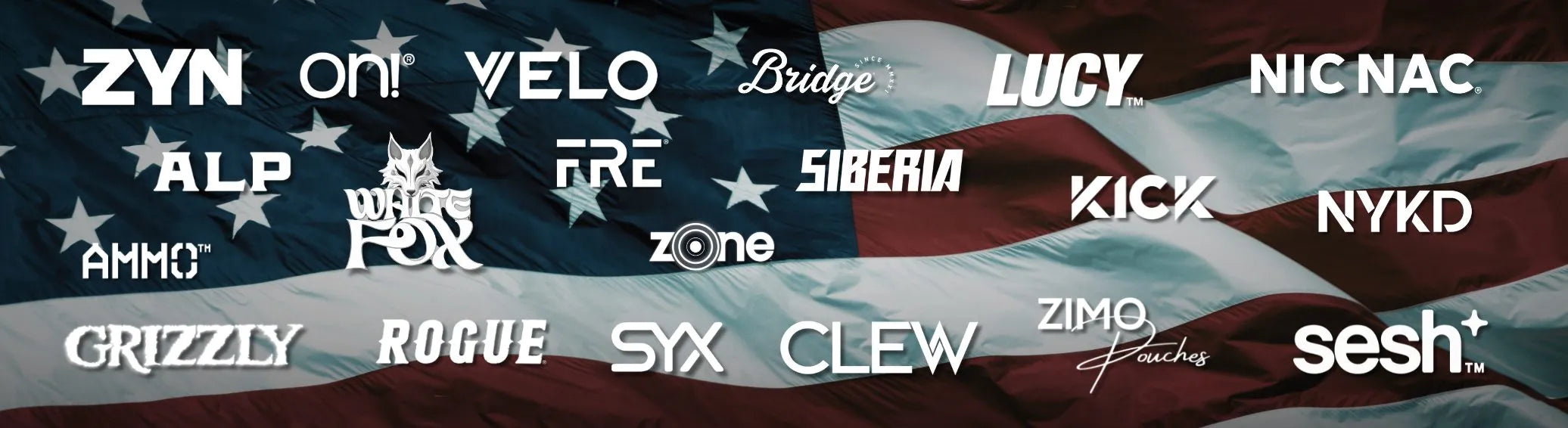 Popular nicotine pouch brands in the USA including ZYN, VELO, On!, Lucy, Rogue, Grizzly, White Fox and more displayed over an American flag background.