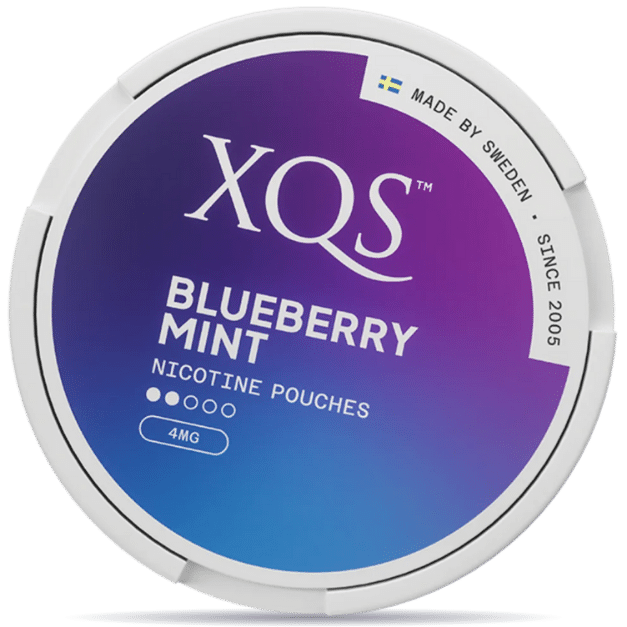 Front view of a can of XQS Blueberry Mint Light 4mg nicotine pouches