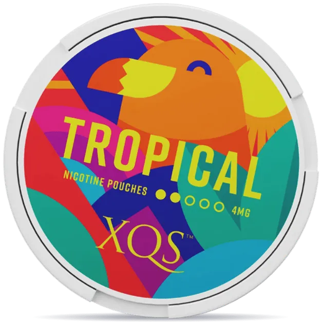 XQS Tropical 4mg nicotine pouches can