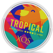 XQS Tropical Strong 8mg