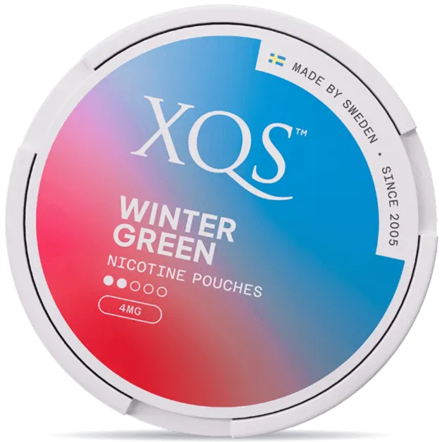 XQS Winter Green 4mg Nicotine Pouches