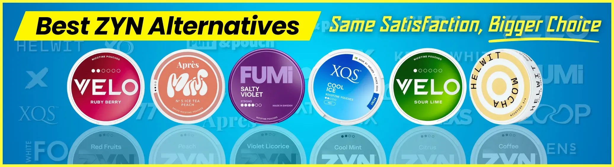 Best ZYN alternatives